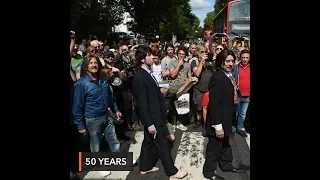 Beatles fans come together for 50th anniversary of Abbey Road photo