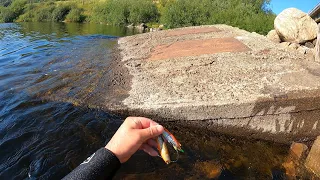 Что можно найти под водой, на рыбацком месте / What can be found under water, at a fishing spot