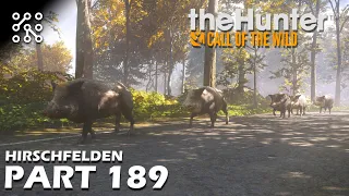 The Hunter: Call of the wild CZ | Lov s brokovnicí - #189 | Česky