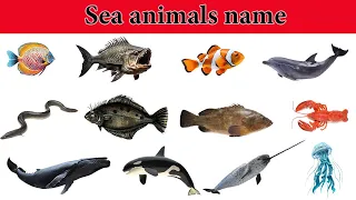 Sea Animals name | A to Z Sea Animals with pictures| Sea animals name with pronunciation