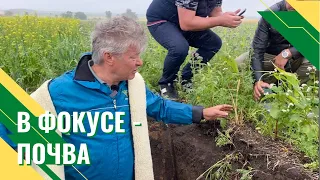 Как разные смеси покровных культур влияют на свойства почвы.