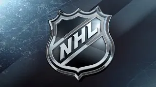 ОСОБЕННОСТИ ЛОГОТИПОВ КЛУБОВ  НХЛ