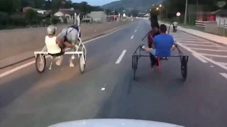 CORRIDA DE CHARRETE EM RODOVIA - Cavalo cai durante corrida de Charrete na Raposo Tavares