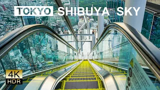 【4K HDR】SHIBUYA SKY  Daytime ｜Tokyo, Japan
