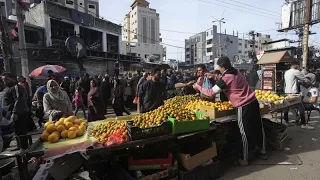 À Gaza, les denrées alimentaires sont moins chères mais restent inaccessibles aux plus démunis