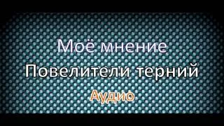 Мое мнение о произведении "Повелители терний"