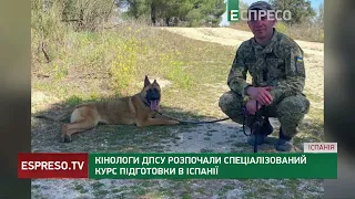 Кінологи ДПСУ розпочали спеціалізований курс підготовки в Іспанії