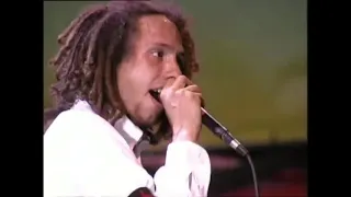 Woodstock 99 Rage against the machine; Know your enemy, wake up, Korn blind (beginning)