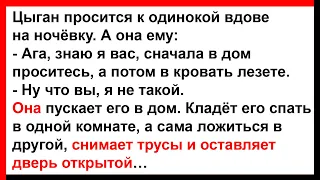 Вдова снимает трусы и оставляет дверь открытой... Анекдоты! Юмор! Позитив!