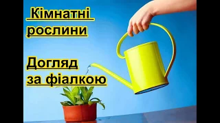 Кімнатні рослини. Догляд за фіалкою. Я досліджую світ нуш.