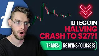 Litecoin PLUNGE to $27 in Halving Event Aftermath? (HISTORICAL EVIDENCE)