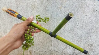 Making Easy Bamboo Gun that Can Shoot Fruit Bullet