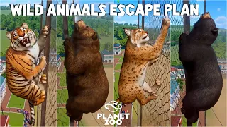Planet Zoo Animals Fence Escape Race | Bengal Tiger, Grizzly Bear, Lynx, Sand Cat, Black Bear