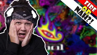 FIRE or NAH?! Tool - Sober Live (REACTION) | iamsickflowz