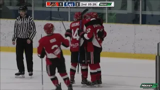 Alberni Valley Bulldogs 3 Langley Rivermen 2 in overtime