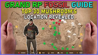 Uncovering GTA Grand RP's Top 30 Mushroom Fossil Locations | Primal Saiyan | Hindi