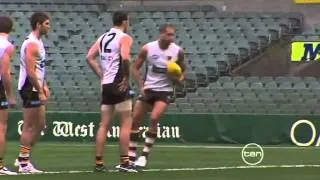 Ten News - Luke Hodge out of Dockers clash