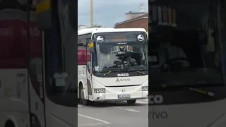 Bus in Trebišov (Autobus v Trebišove)