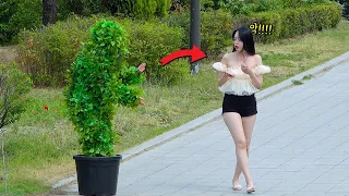 She Had a Crazy Fright. Bushman Prank In Korea