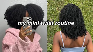 MY MINI TWIST ROUTINE ON STRETCHED NATURAL HAIR (type 4)✨