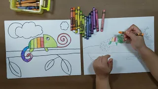 Rainbow Chameleon 2nd &3rd Grade