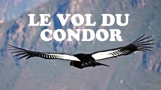 LE VOL DU CONDOR - EL KONDOR PASA