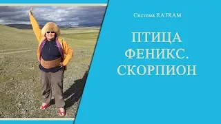 Птица Феникс. Скорпион