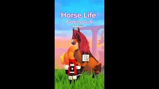 Horse Life: Breeding Guide