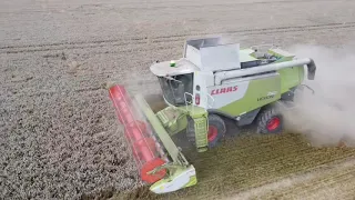 Combining (claas lexion 750)