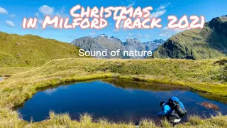 Christmas in Milford Track 2021