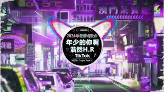 🎧2024最火歌曲DJ Remix【最佳 DJ 混音音乐】💘 抖音神曲2024 🎼 破億中文歌曲排行榜: 是你/LONELY/苦咖啡·唯一/若把你/仗著/王靖雯不胖...