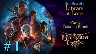 Let's Play Baldur's Gate 3! Purity the Paladin/Monk #1