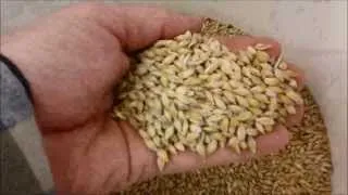 Barley to Beer (in 100 seconds)