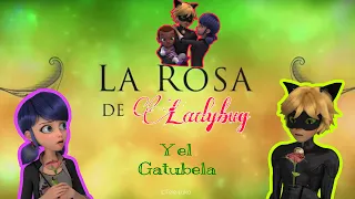 La Rosa de Ladybug Parodia Miraculous ladybug temporada 1,2,3 y 4