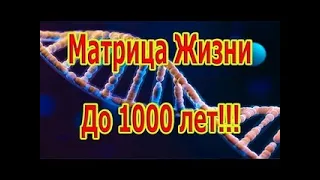 ЖИЗНЬ до1000 Лет!!! РЕДКАЯ и МОЩНАЯ МАТРИЦА П. П. ГАРЯЕВА. 13.01.2023 г.