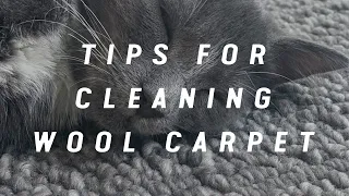 Tips for Cleaning Your Wool Carpet | Bremworth Wool Carpets & Rugs