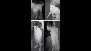 Business Burglary Video 18-042352