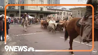 2023 National Western Stock Show Parade in Denver