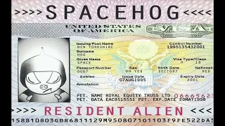 In the Meantime - Spacehog (Remastered 2022)