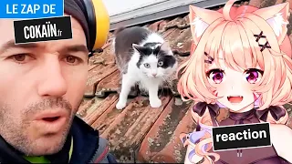 SquChan reaction to Le Zap de Cokaïn fr n°232 | Vtuber reaction