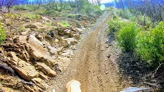 Penny Pines OHV Sled Ridge Ride Down 2021