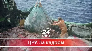 ЦРУ. За кадром. Гроші з води, або хто в цій країні переможе рибну мафію?