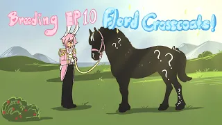 Wild Horse Islands | Breeding Ep 10 (Fjord Crosscoats)