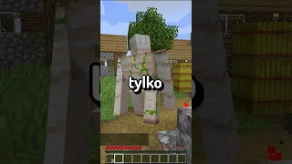 MINECRAFT ALE MUSZĘ UMRZEĆ NA TRYBIE DLA DZIECI 2