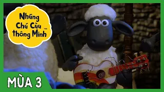 CÙNG PHUN NÀO - CON QUẠ | Mùa 3 Tập đầy đủ | Những Chú Cừu Thông Minh