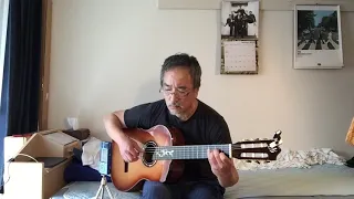 El Condor Pasa (Fingerstyle guitar)