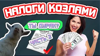 Мои налоги в КФХ. Часть 2