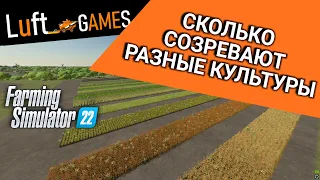 Сколько созревают разные культуры в Farming Simulator 22