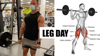 Leg Workout Tips For Bigger Legs (Hardgainer)