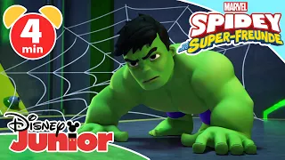 🕷 Hulk fühlt sich nutzlos! | Spidey und seine Super-Freunde